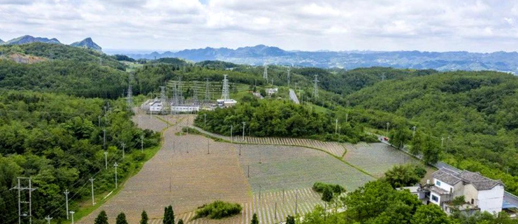 畢節(jié)市藝術(shù)攝影協(xié)會開展 “喜迎建黨100周年主題創(chuàng)作”采風(fēng)活動(dòng)——生機(jī)盎然的安洛