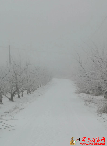 三月，村莊剛剛下起了雪（外一首）